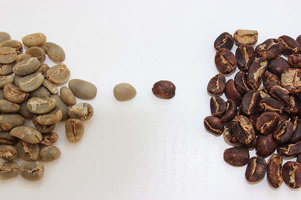 Café arabica et café robusta: quelle est la différence?